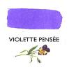 violette pensee.JPG